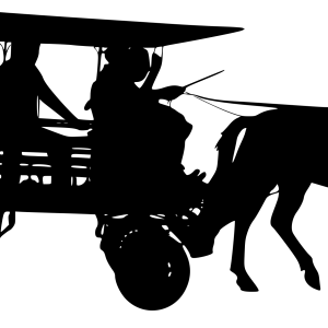 Carriage PNG