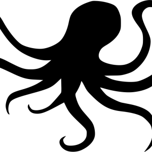 Octopus PNG