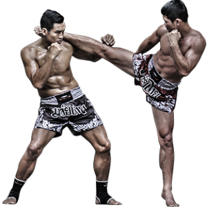 Mixed martial arts PNG, MMA PNG