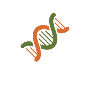 DNA PNG