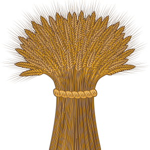 Wheat PNG
