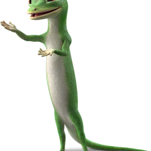 Gecko PNG