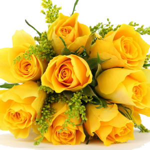 Bouquet flowers PNG