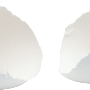 Eggs PNG