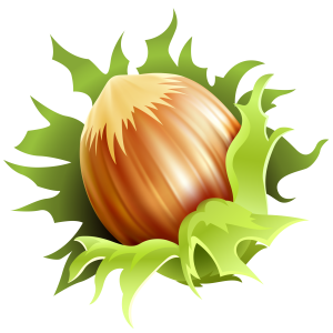 hazelnut PNG