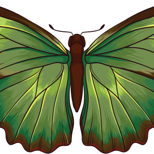 green butterfly PNG