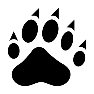 Paw PNG