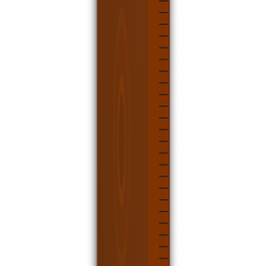 Ruler PNG