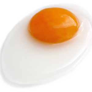 Fried egg PNG