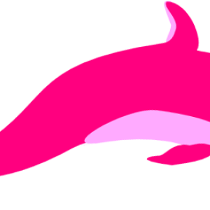 Dolphin PNG