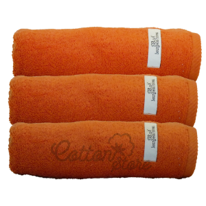 Towel PNG