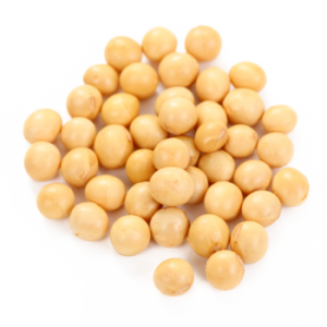 Soybean PNG