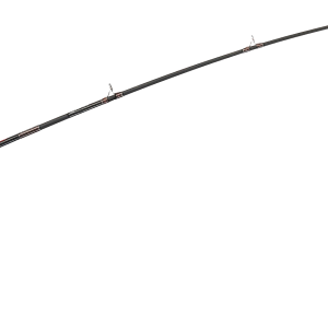 Fishing rod PNG image