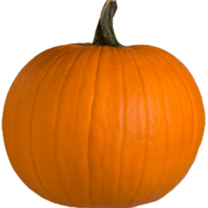 Pumpkin PNG image