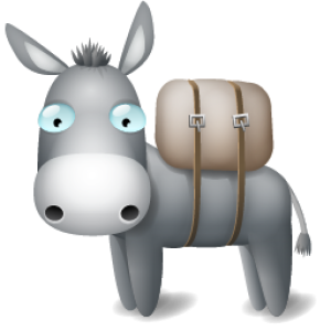 Donkey PNG