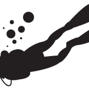 Diver PNG