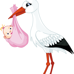 stork baby PNG