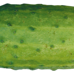 Cucumber PNG
