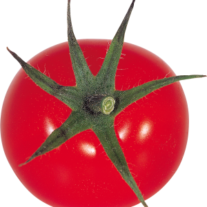 big red Tomato PNG
