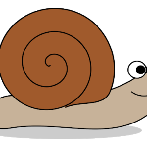 Snail PNG