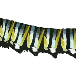 Caterpillar PNG