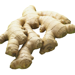 Ginger PNG