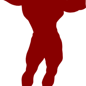 Muscle PNG