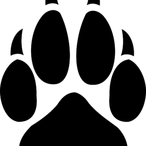 Paw PNG