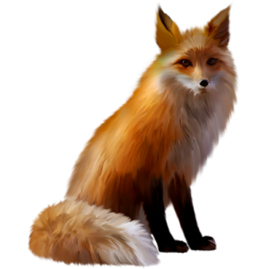 Fox PNG