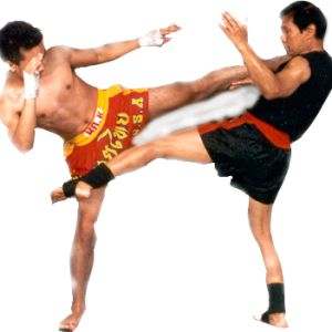 Kickboxing PNG
