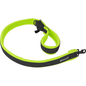 Leash PNG