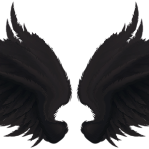 Wings PNG