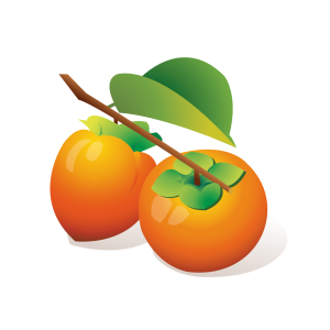 Persimmon PNG