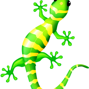 Gecko PNG