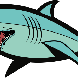 Shark PNG image