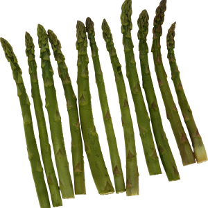 Asparagus PNG