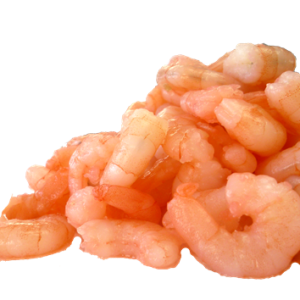 Shrimps PNG