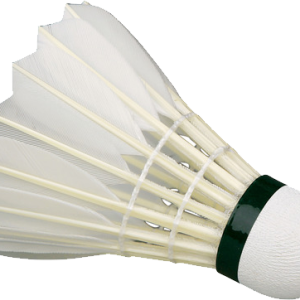 Badminton volant PNG image