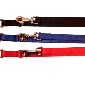 Leash PNG