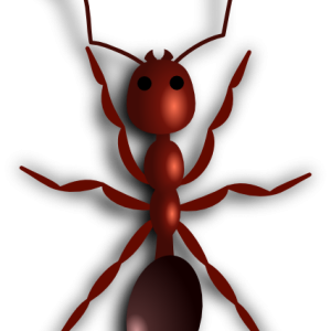 ant PNG