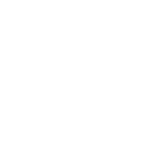 Twitter logo PNG