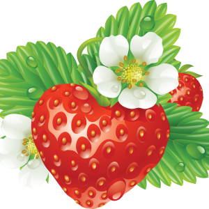 Strawberry with flower and leaves PNG