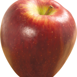 Apple PNG