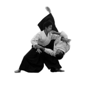 Aikido PNG