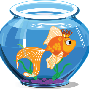 Aquarium PNG