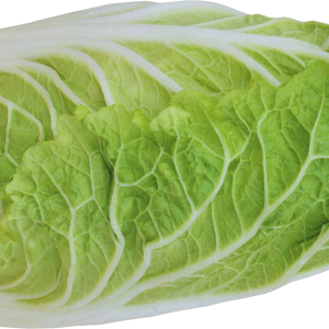 Salad PNG image
