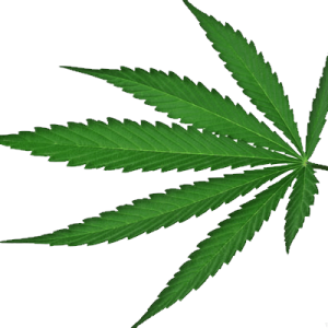 Cannabis PNG