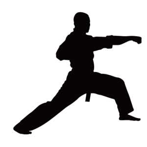 Taekwondo PNG