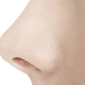 Human nose PNG
