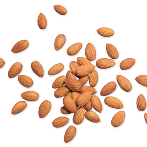 Almond PNG
